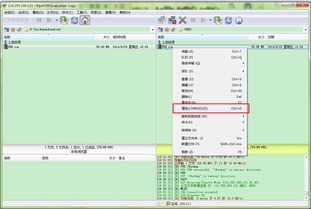 FTP服務器軟件下載與配置 軟件開發(fā)者的指南